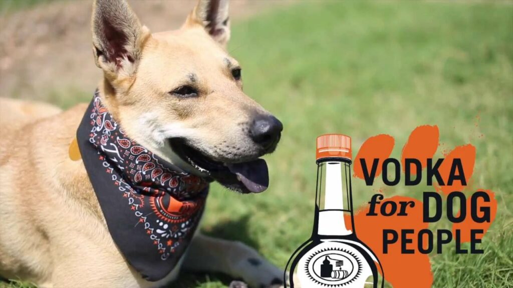Vodka for Dog People - 10 Best Cause Marketing Campaigns